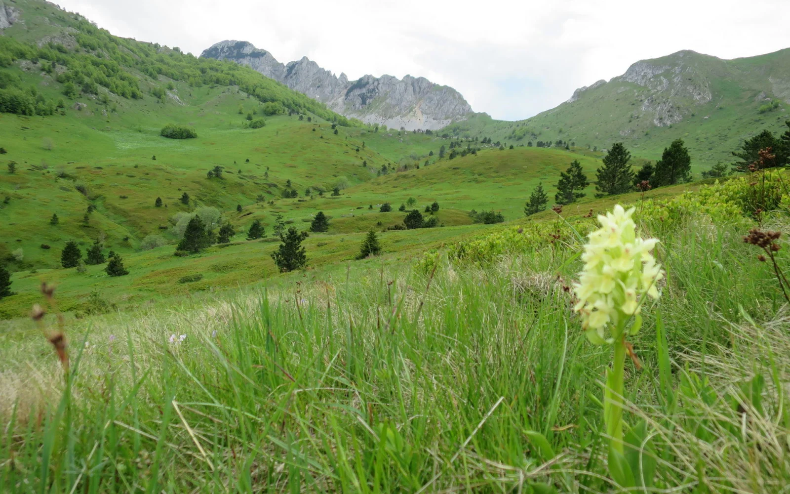 Natur pur in den Bergen von Bosnien-Herzegowina