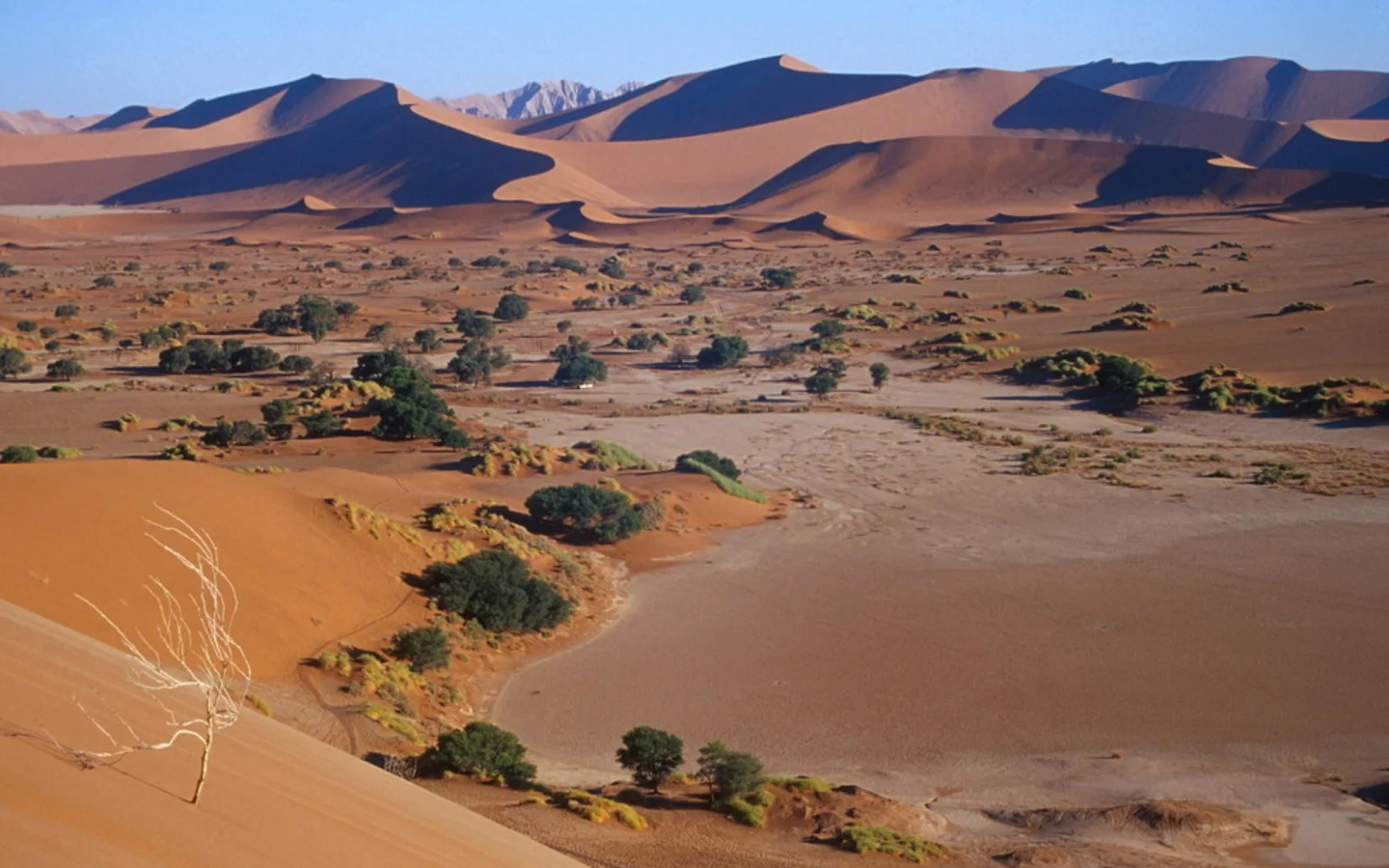 Ein Muss jeder Namibia-Reise - die Dünen von Sossusvlei.