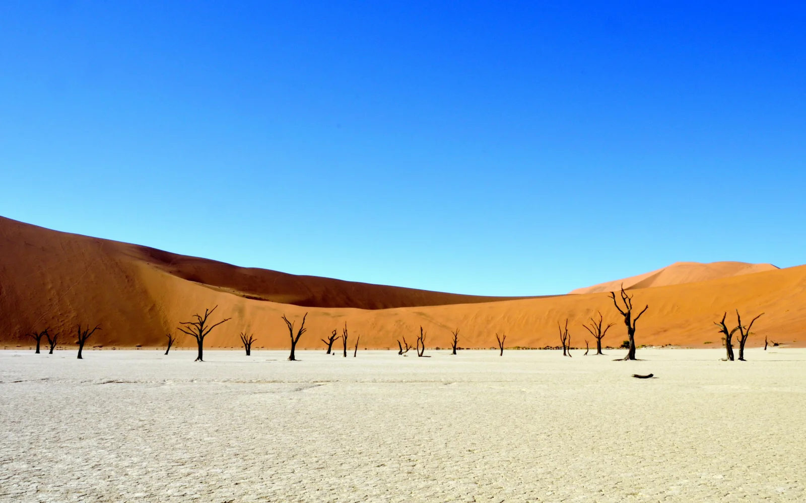 Beeindruckende Momente im Deadvlei, Namibia