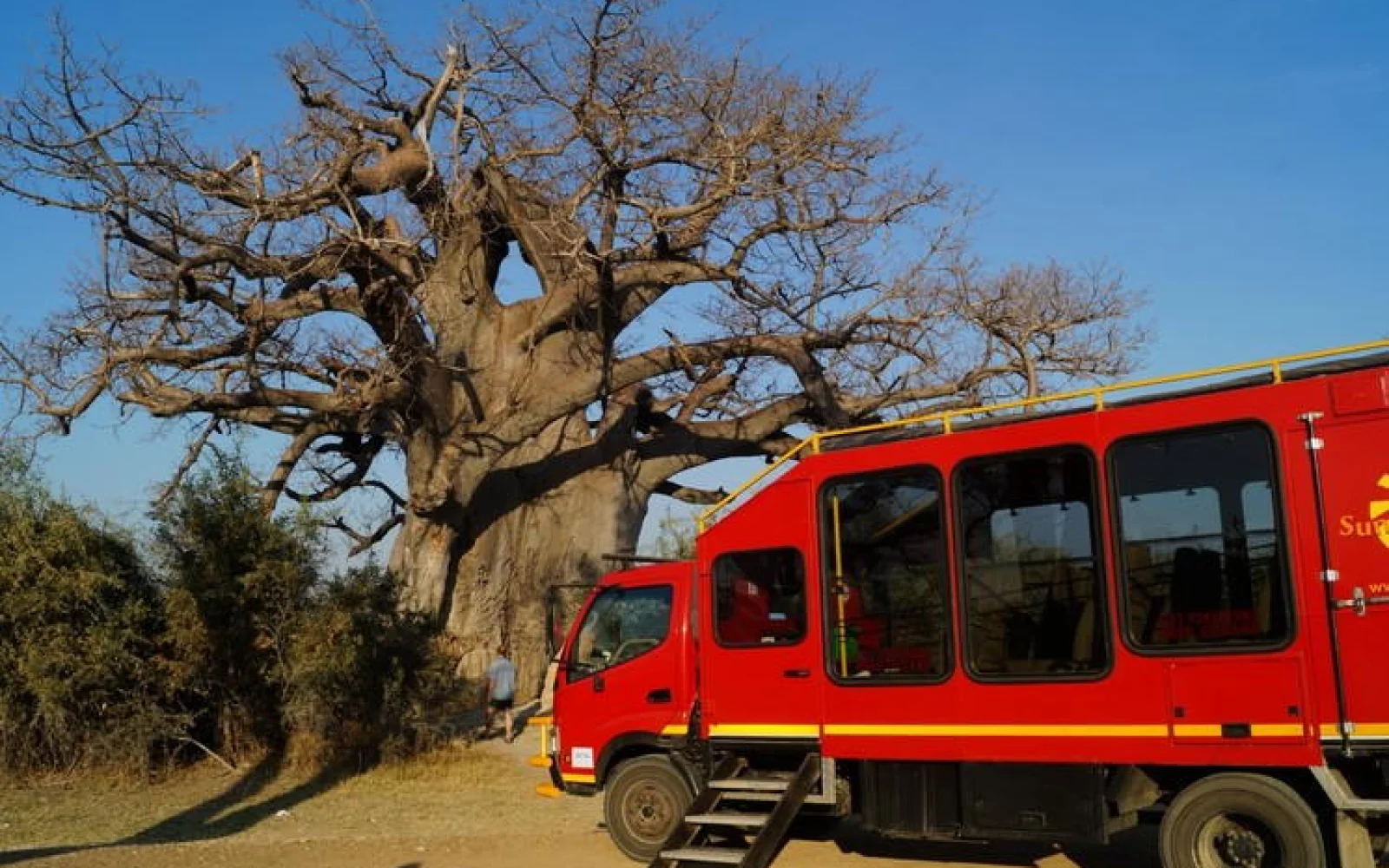 Unterwegs sind Sie in umgebauten und speziell ausgestatteten Safari-Trucks.