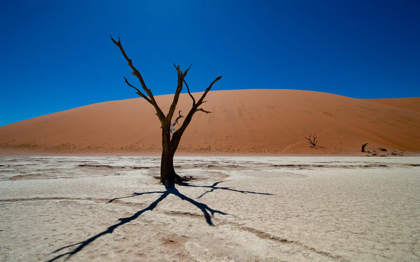 Dead Vlei Namibia