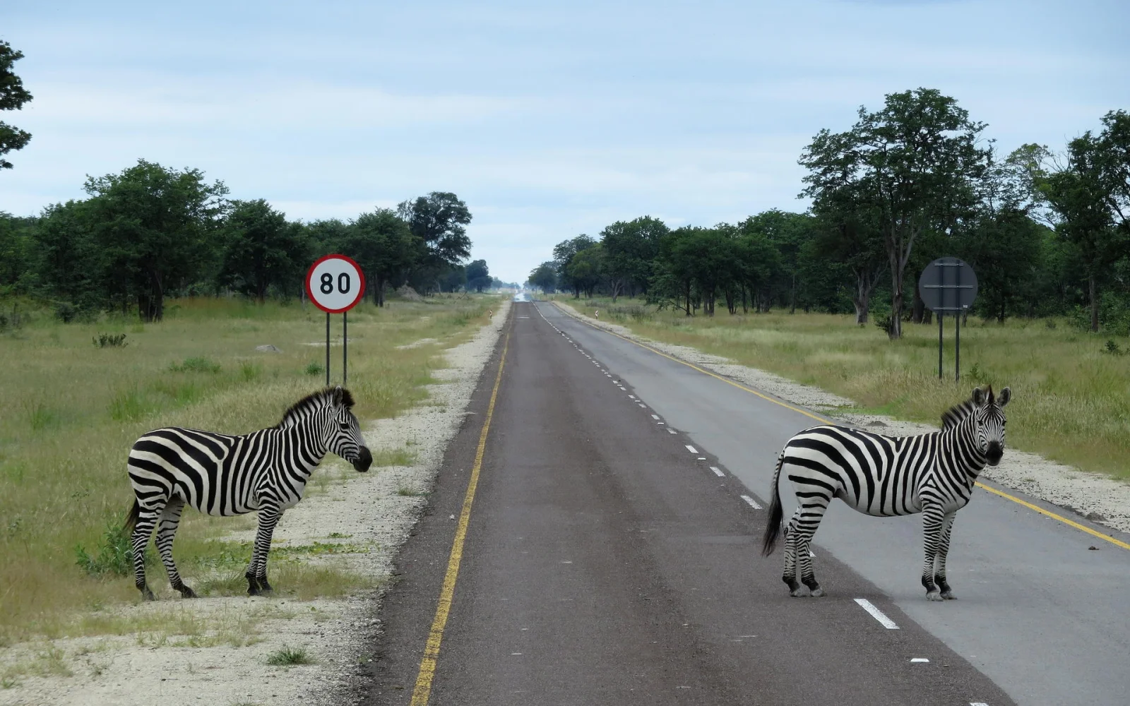 Botswana zur Rush Hour