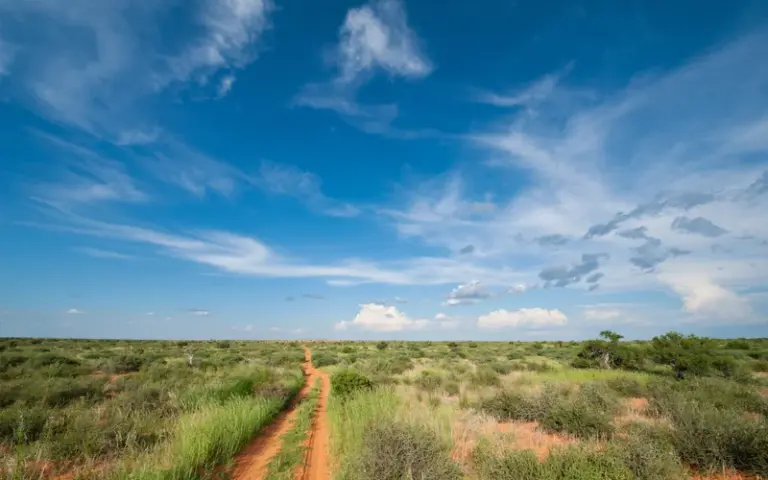 Weiterfahrt nach Botswana und Naturwanderung in der Kalahari-Wüste 