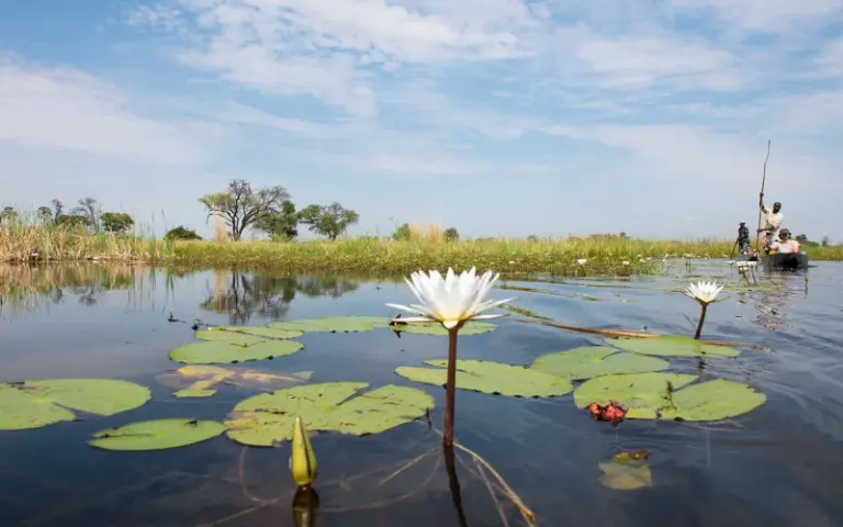 Ein Labyrinth aus Wasserwegen, das Okavango-Delta