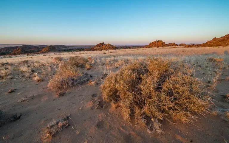 Ugab Wilderness und Besuch der Weißen Dame am Brandberg