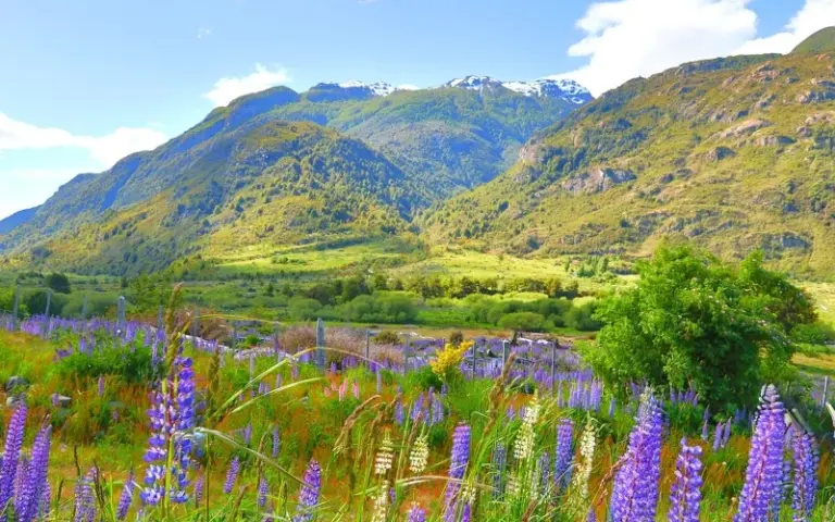 Flug ins südliche Patagonien