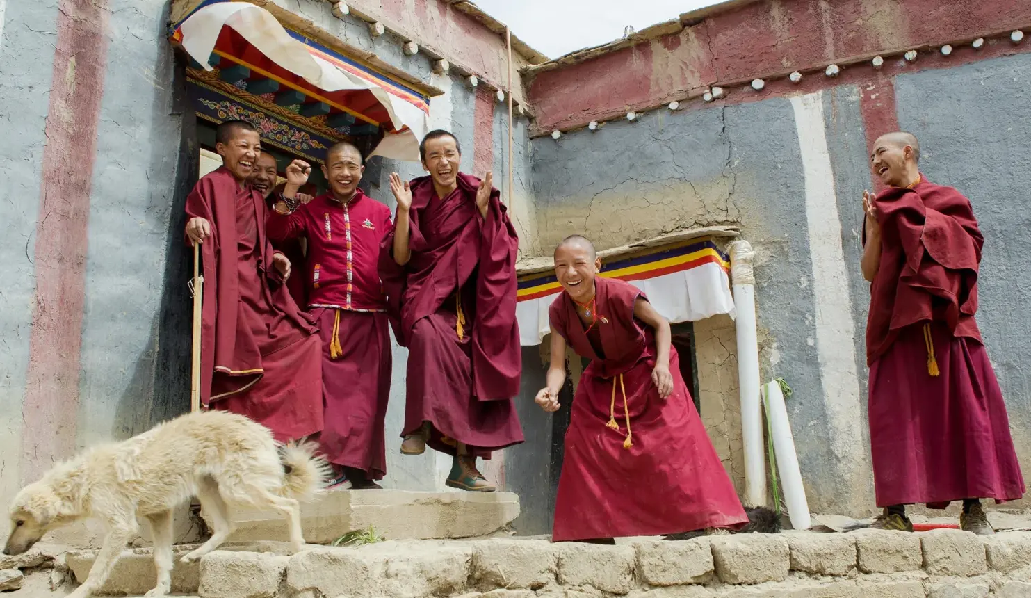 Sechs lachende junge buddhistische Mönche in dunkelroten Gewändern stehen auf den Stufen eines Klosters in Tibet, neben ihnen läuft ein weißer Hund.
