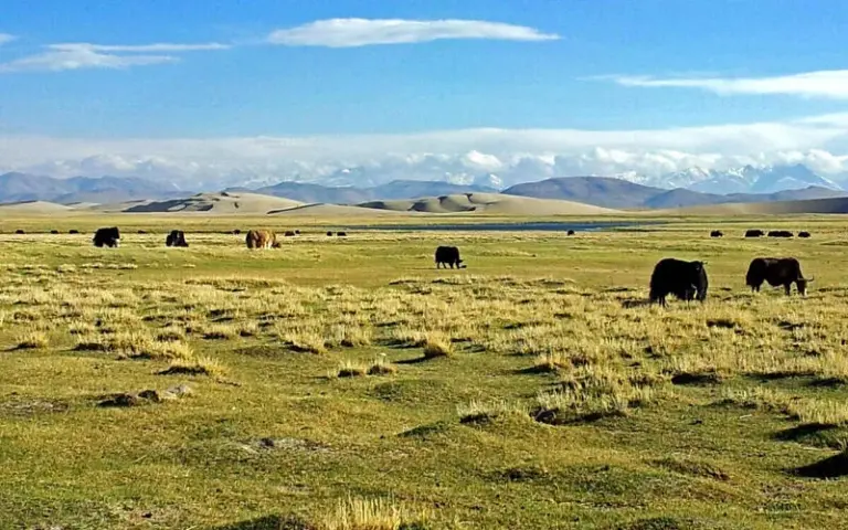 Weiterreise über das tibetische Hochland und die Sanddünen von Paryang