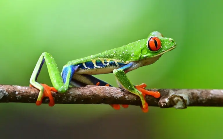 Herzlich Willkommen im tropischen Natur- und Outdoor-Paradies! (Foto: R. Lubiger)