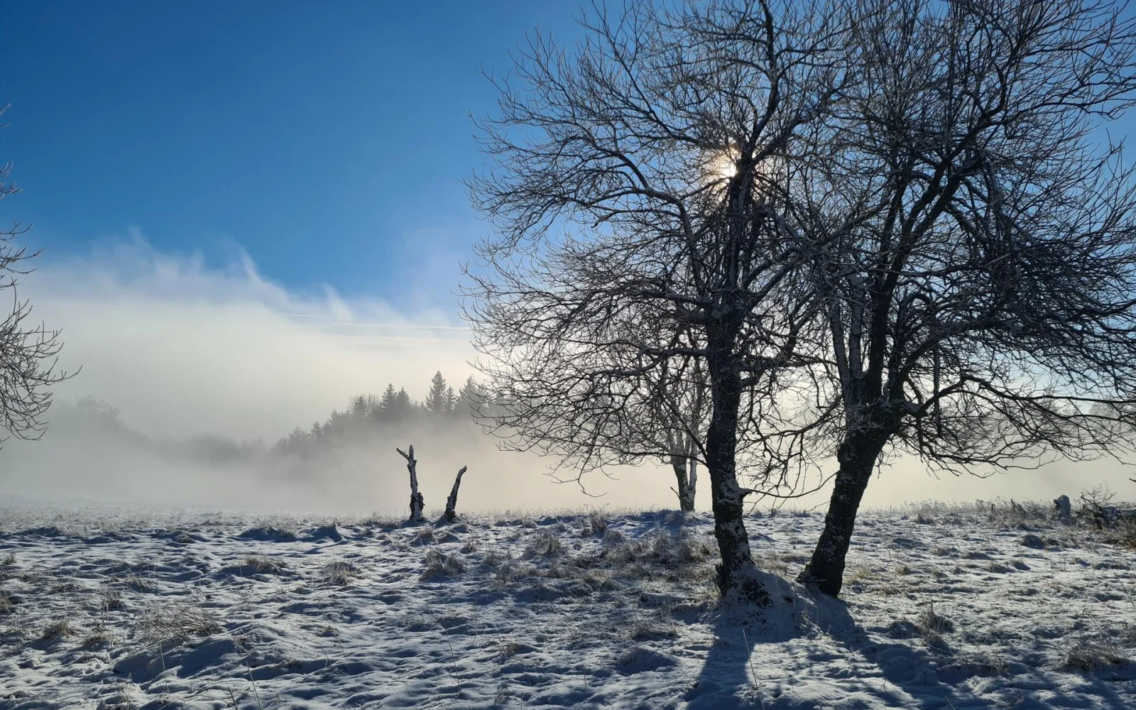Herrlich verschneite Landschaft an einem Wandersonntag im Dezember