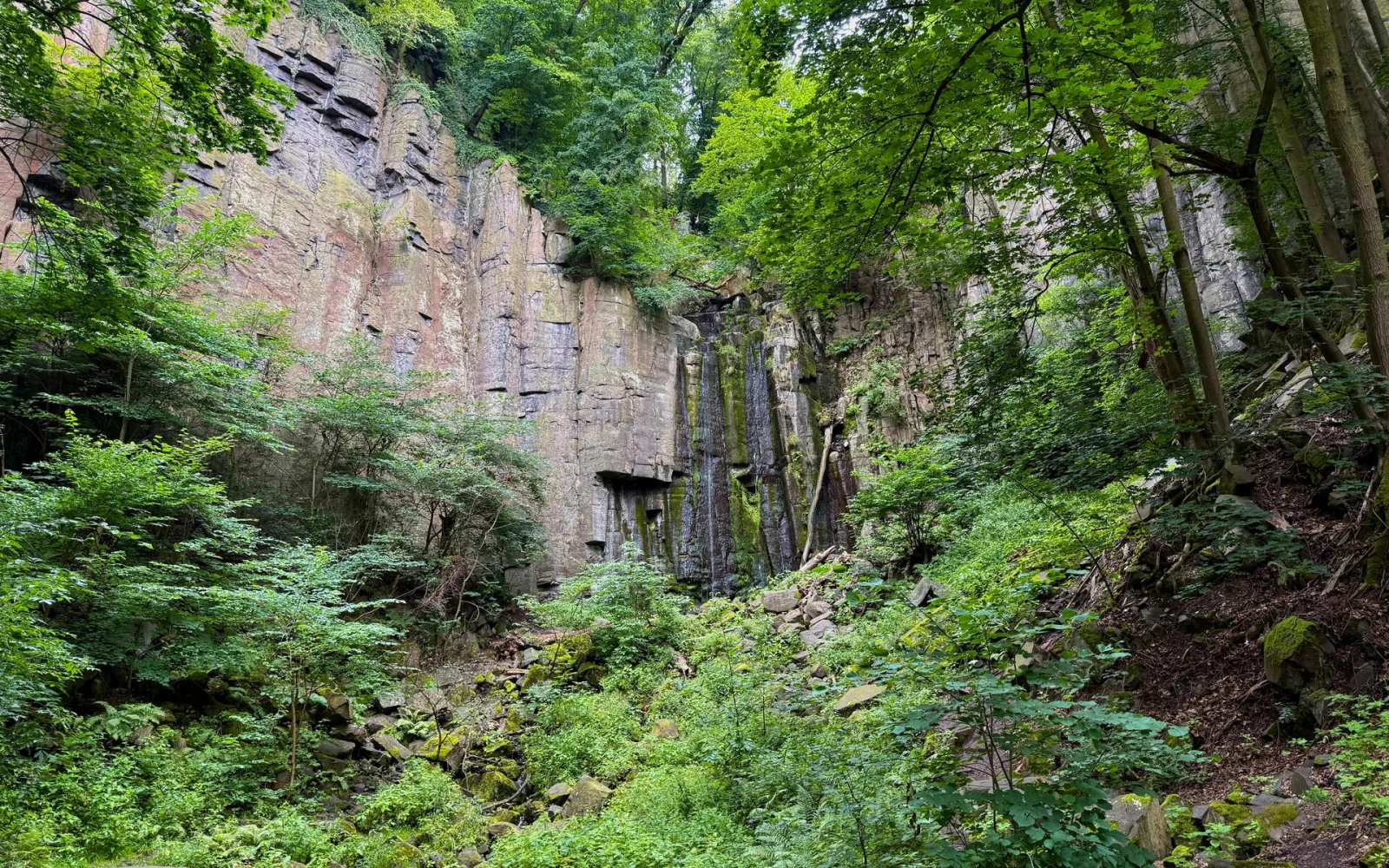 Imposanter Basaltaufschluss in Böhmen