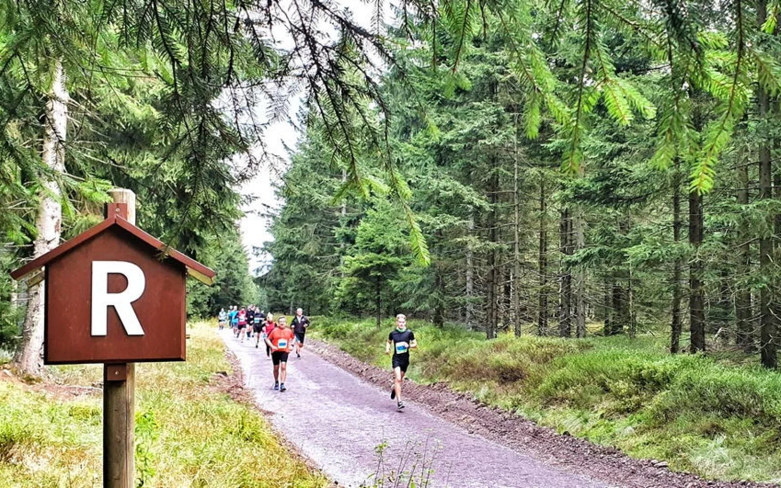 Das "R" für Rennsteig haben die Läufer und Walker immer im Blick