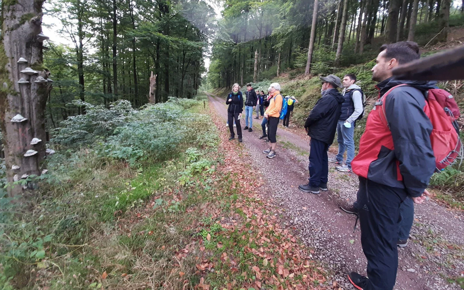 Wanderung (9,3 km) für Begleitpersonen mit Wanderleiterin Katrin nach Schmiedefeld