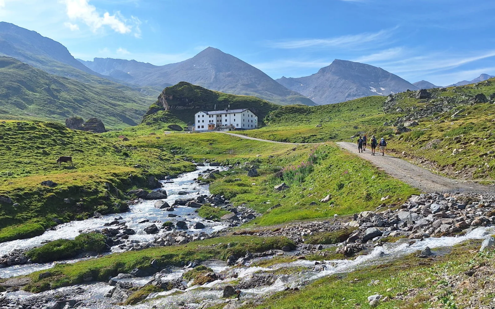 Heidelberger Hütte (Foto: Andrea Zäch)