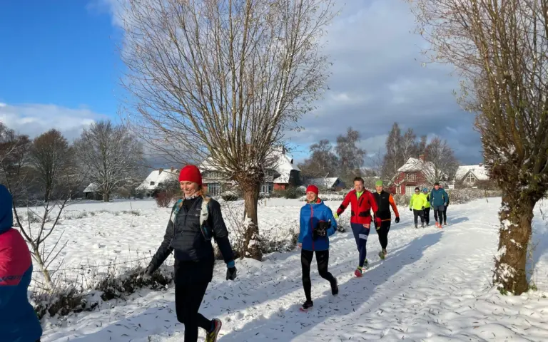 Winterlicher Darß 2023: Schönste Naturläufe und...
