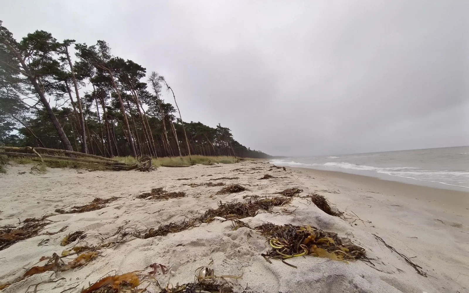 Rau, einsam im Winter und wunderschön: der Weststrand - wir kommen hin.