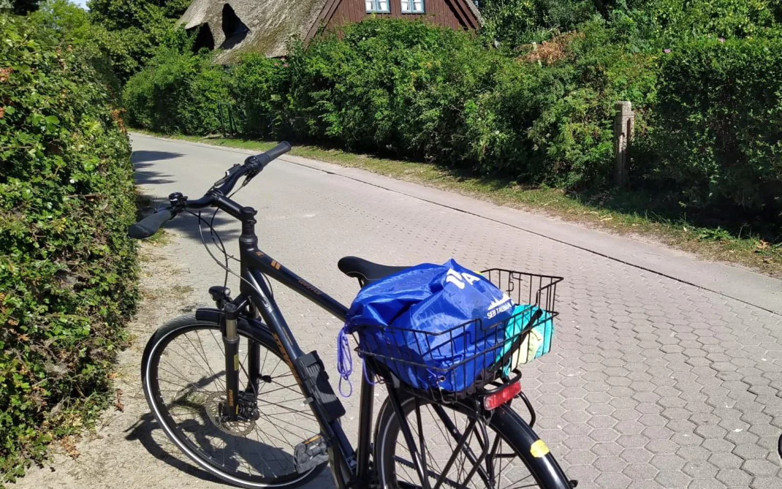 Noch am Anreisetag nehmen wir unsere Räder in Empfang - bereits am Samstag radeln wir nach Wieck auf der Boddenseite zum 10 km-Lauf.