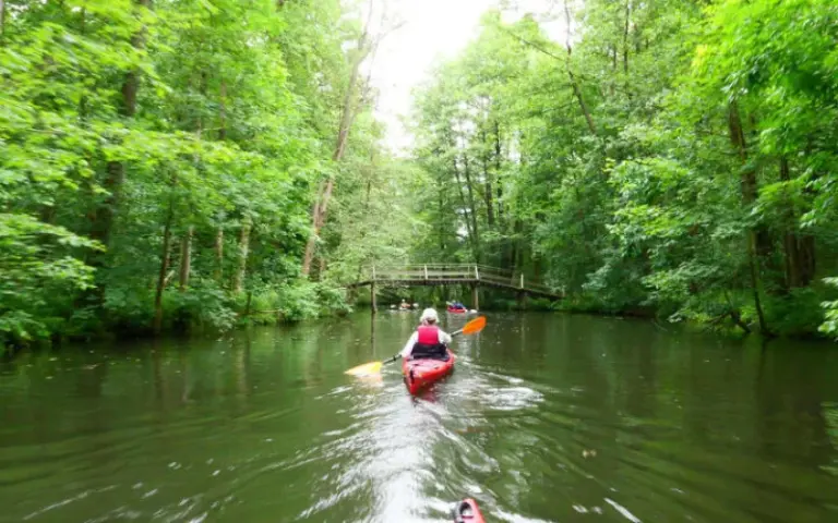 Paddeln und die Natur vom Wasser aus erleben