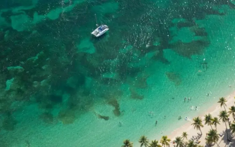 Anreise nach Martinique und gemeinsames Abendessen 