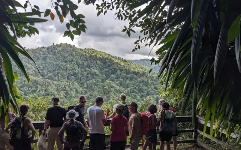 Fährfahrt nach Dominica, Stadtrundgang Roseau und Trafalger Falls