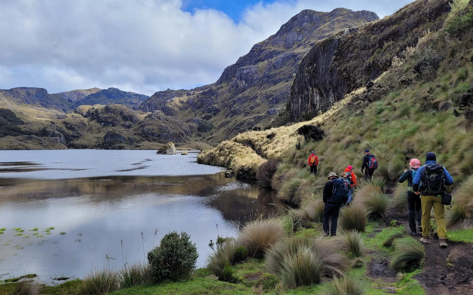 Wieder oben auf 4000 m: Wandern im spektakulären Cajas-Nationalpark