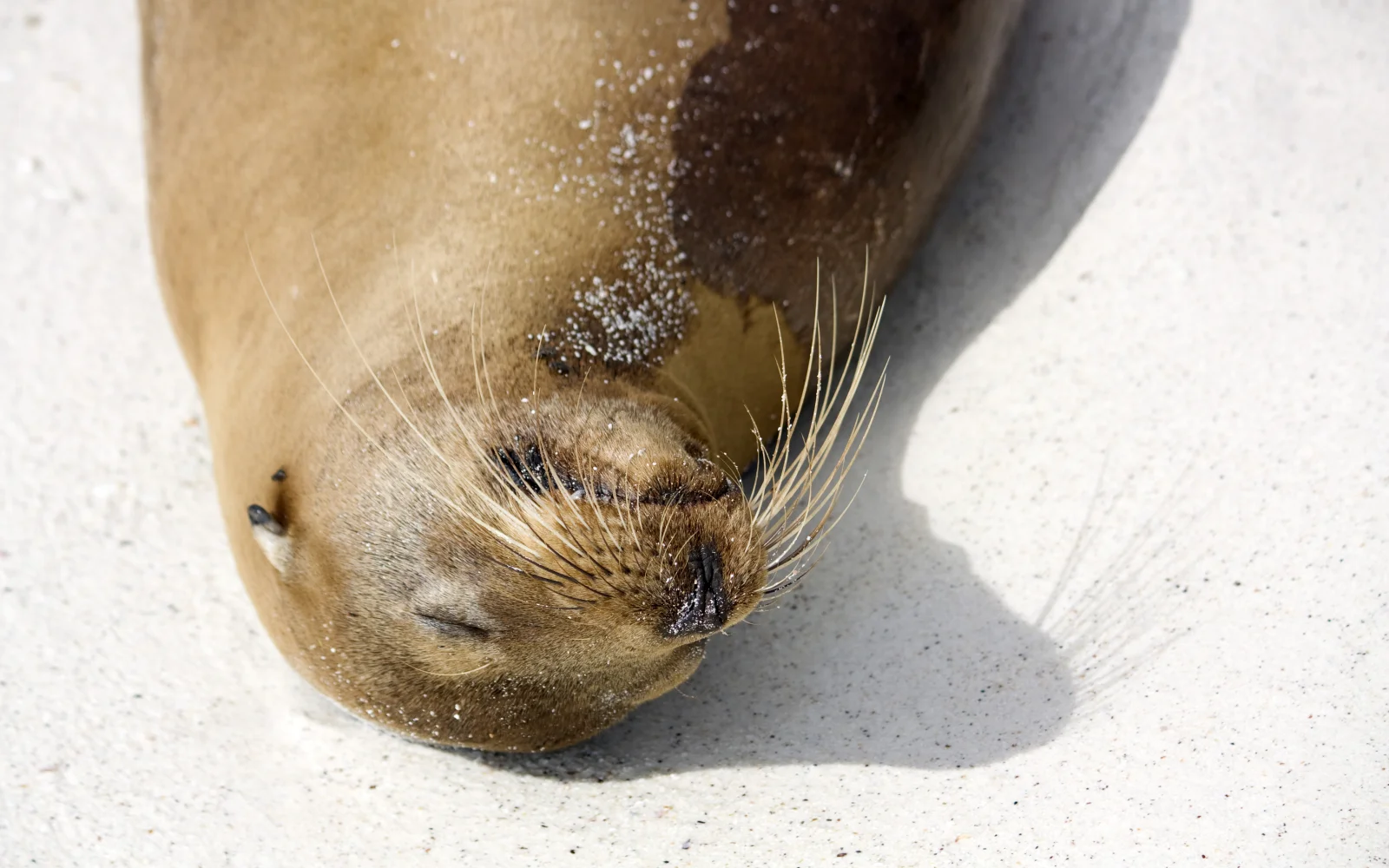 Entspannen am Strand