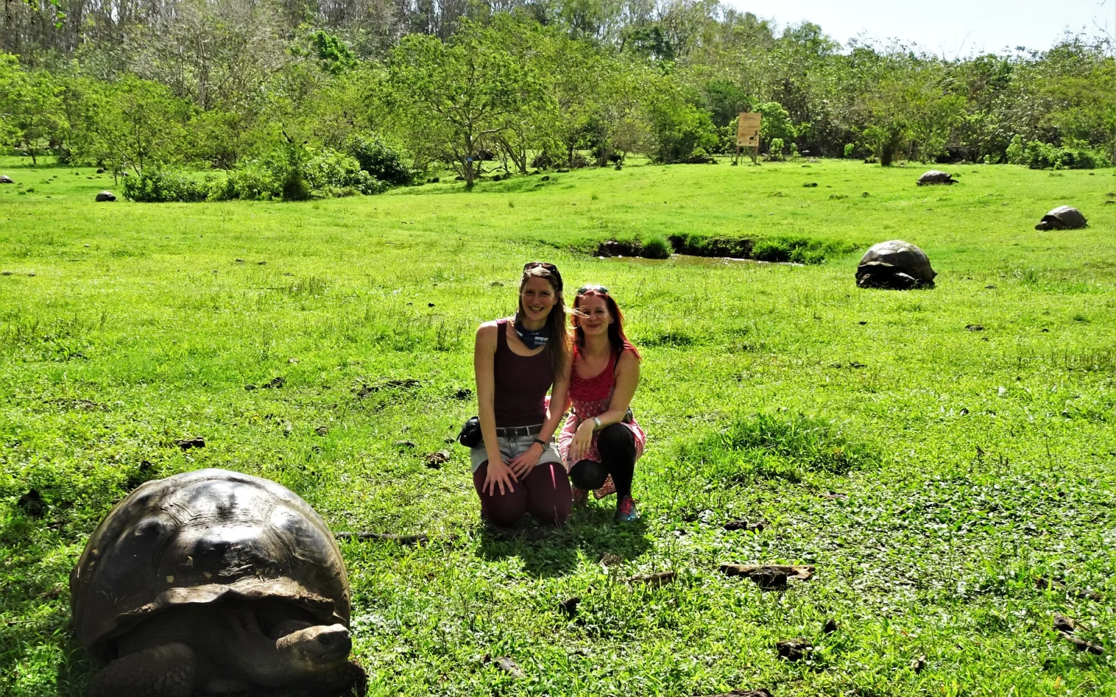 Zu Besuch bei den Riesenschildkröten