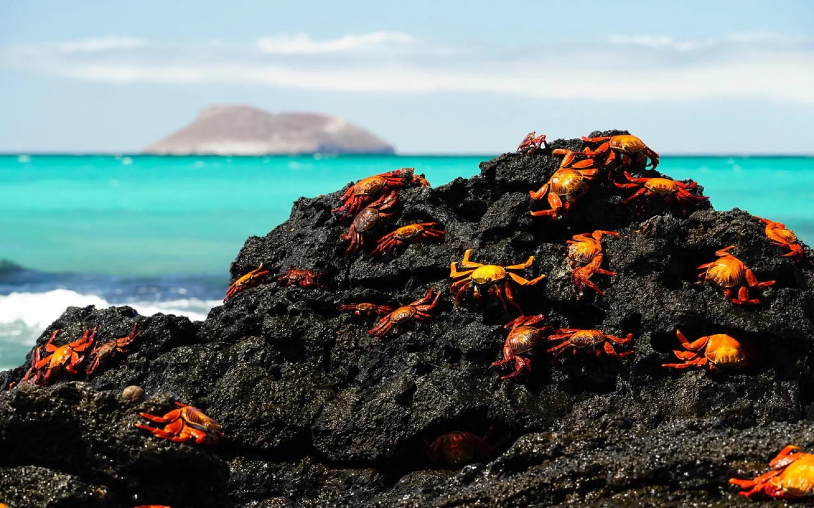 Zwei Wochen Urlaub im Naturparadies Galapagos!