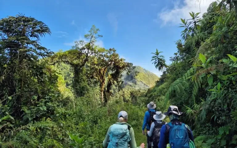 Stadtrundgang in Quito und Weiterfahrt nach Mindo