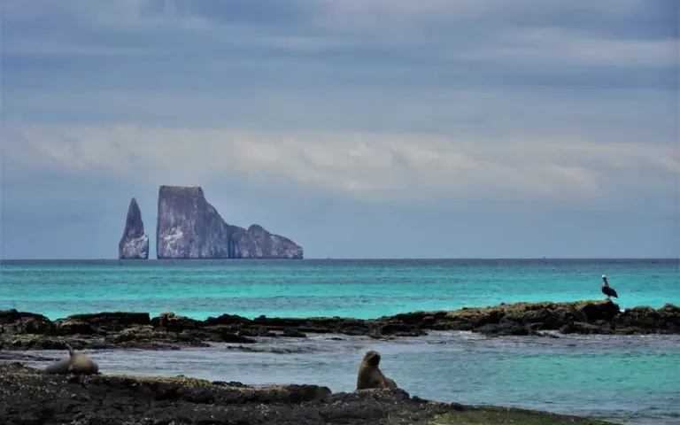Bootsausflug zum Schnorchelparadies am Kicker Rock: Roca León Dormido