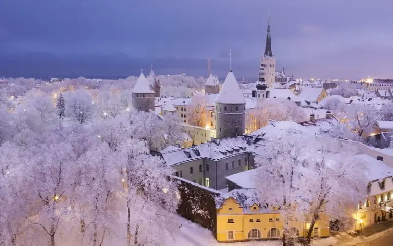 Transfer nach Helsinki / Fährüberfahrt nach Tallinn