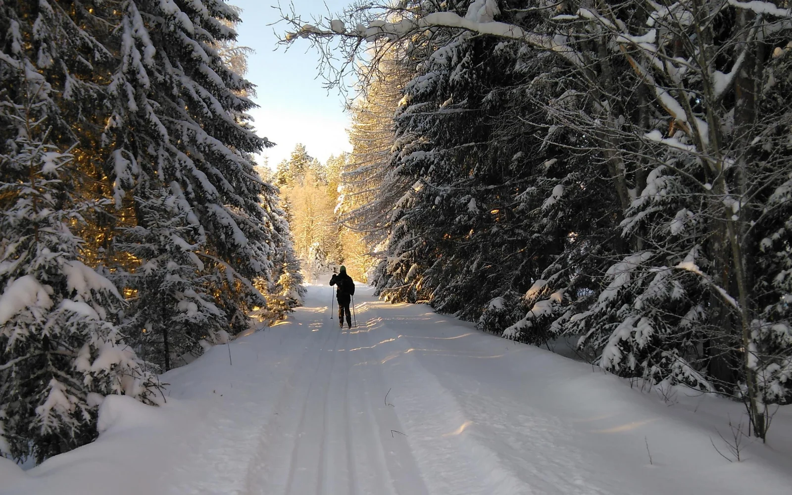 ...und durch verschneite Wälder. Sollten Sie noch nicht Skilaufen können, erhalten Sie zu Beginn eine Einweisung. 
