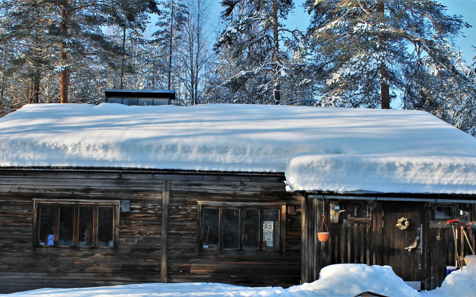 Die Wildnishütte liegt etwa 35km entfernt von der Huskyfarm...
