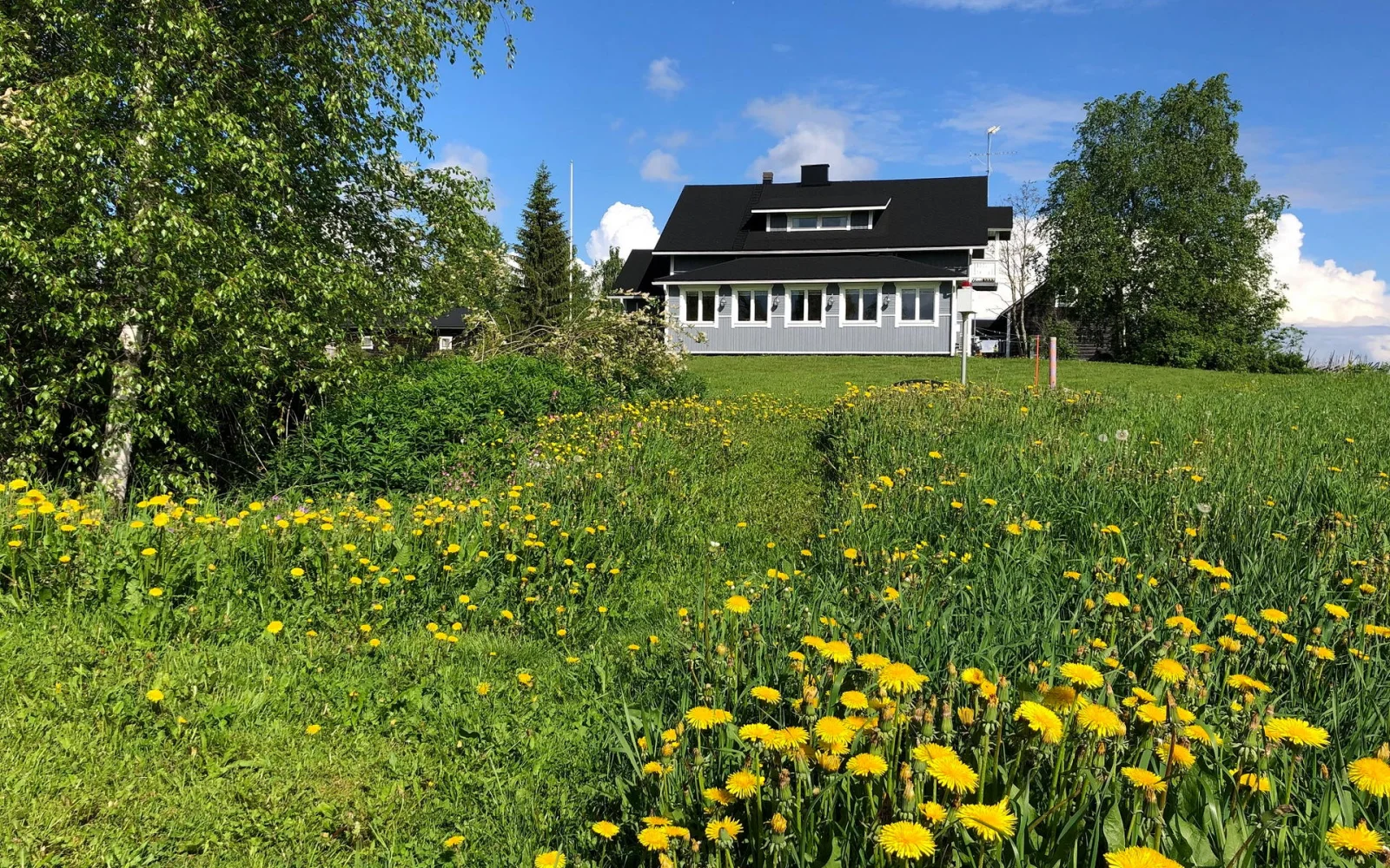 Vom zweiten Gasthaus, Laitalan Lomat, führt ein idyllischer Wiesenweg zur Flusssauna.