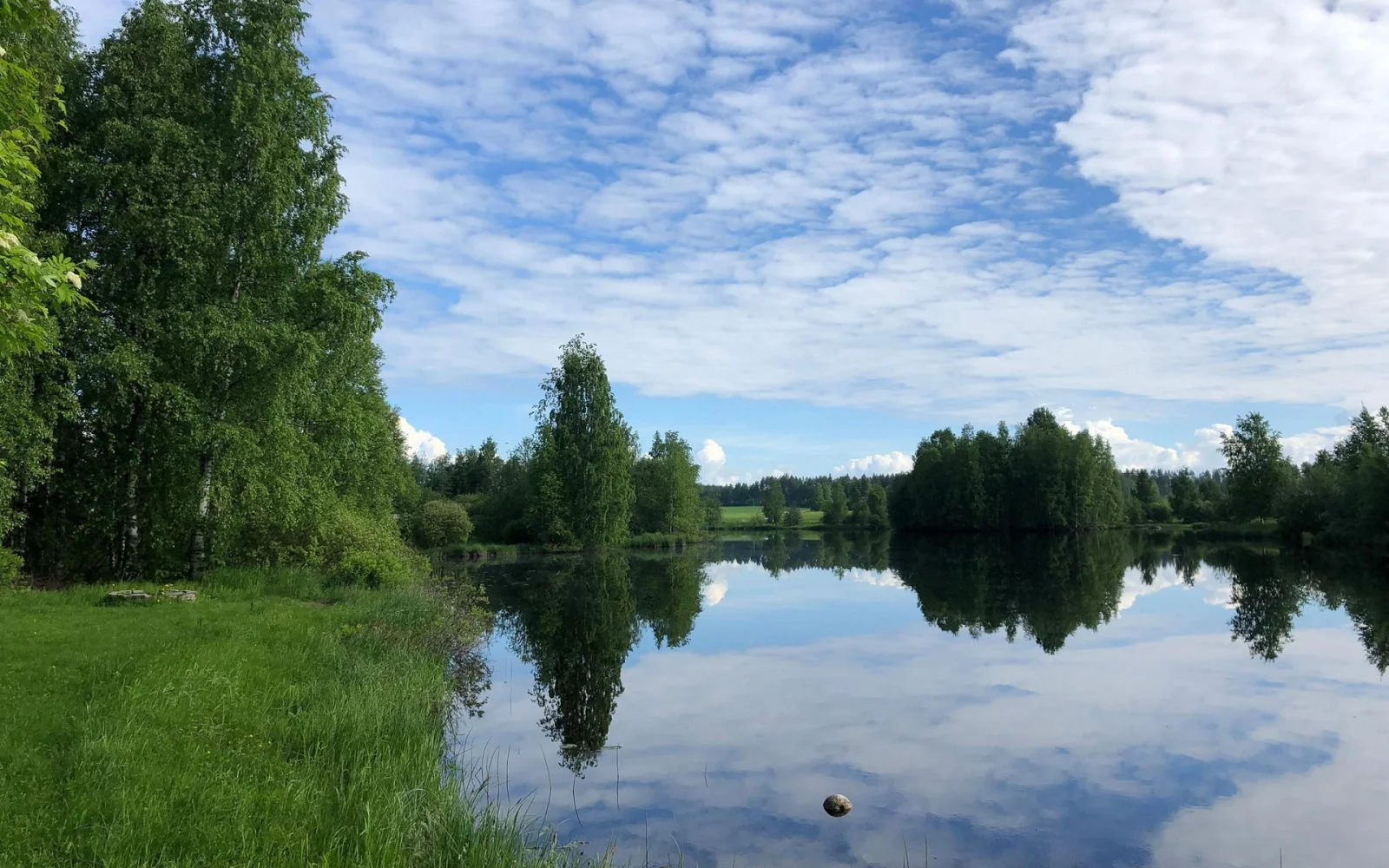 Von der Sauna aus lassen Sie Ihren Blick über das Ufer schweifen, ein friedlicher Ort zum Entspannen und Genießen.