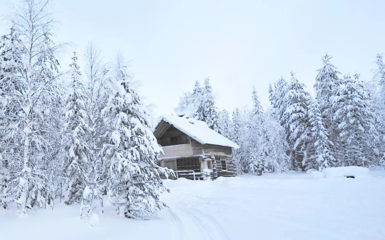 Höhepunkt der Tour wird die Übernachtung in einer Wildnishütte sein