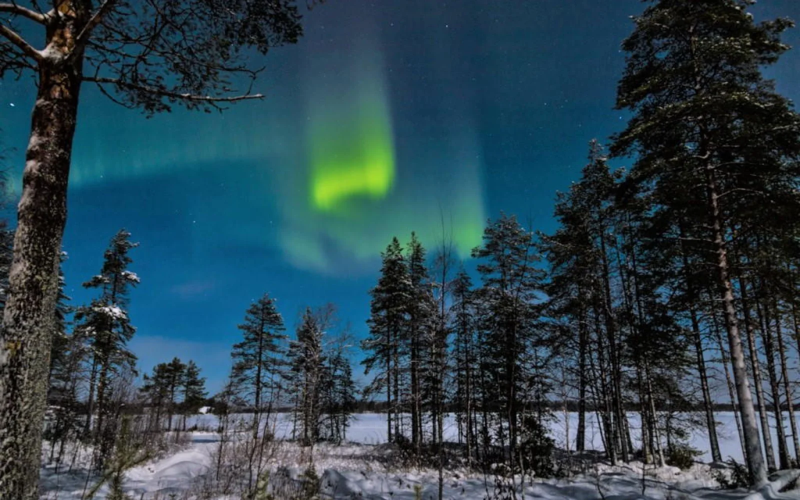 Auch Polarlichter zeigen sich über den Haussee 