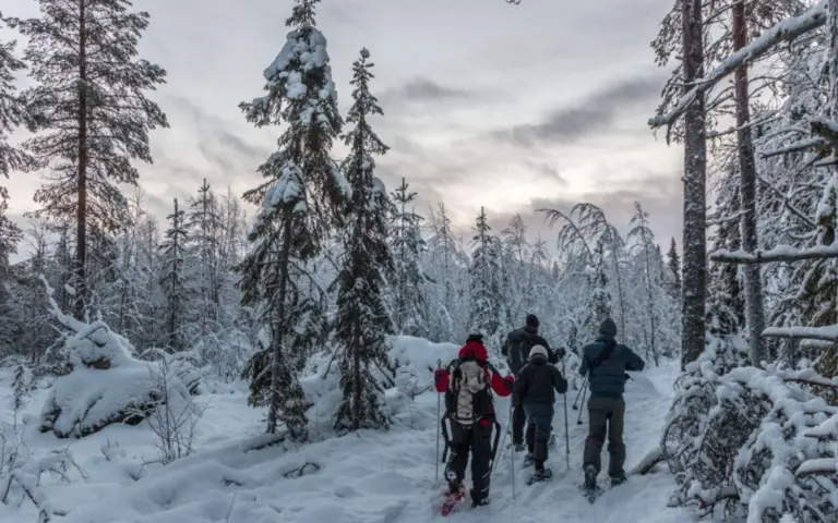 Die Schneeschuhwanderung führt durch schöne Winterlandschaften