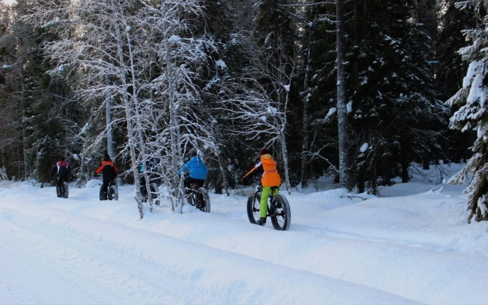 Ein neues Erlebnis: eine winterliche Radtour mit den Fatbikes