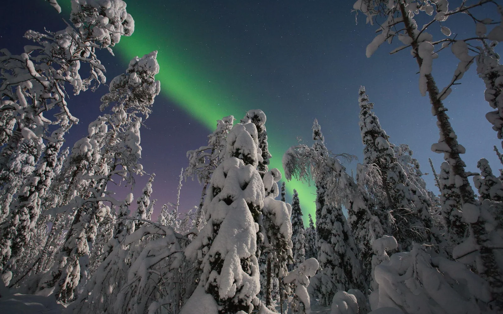 Mit etwas Glück können Sie auf dieser Reise Polarlichter bewundern.