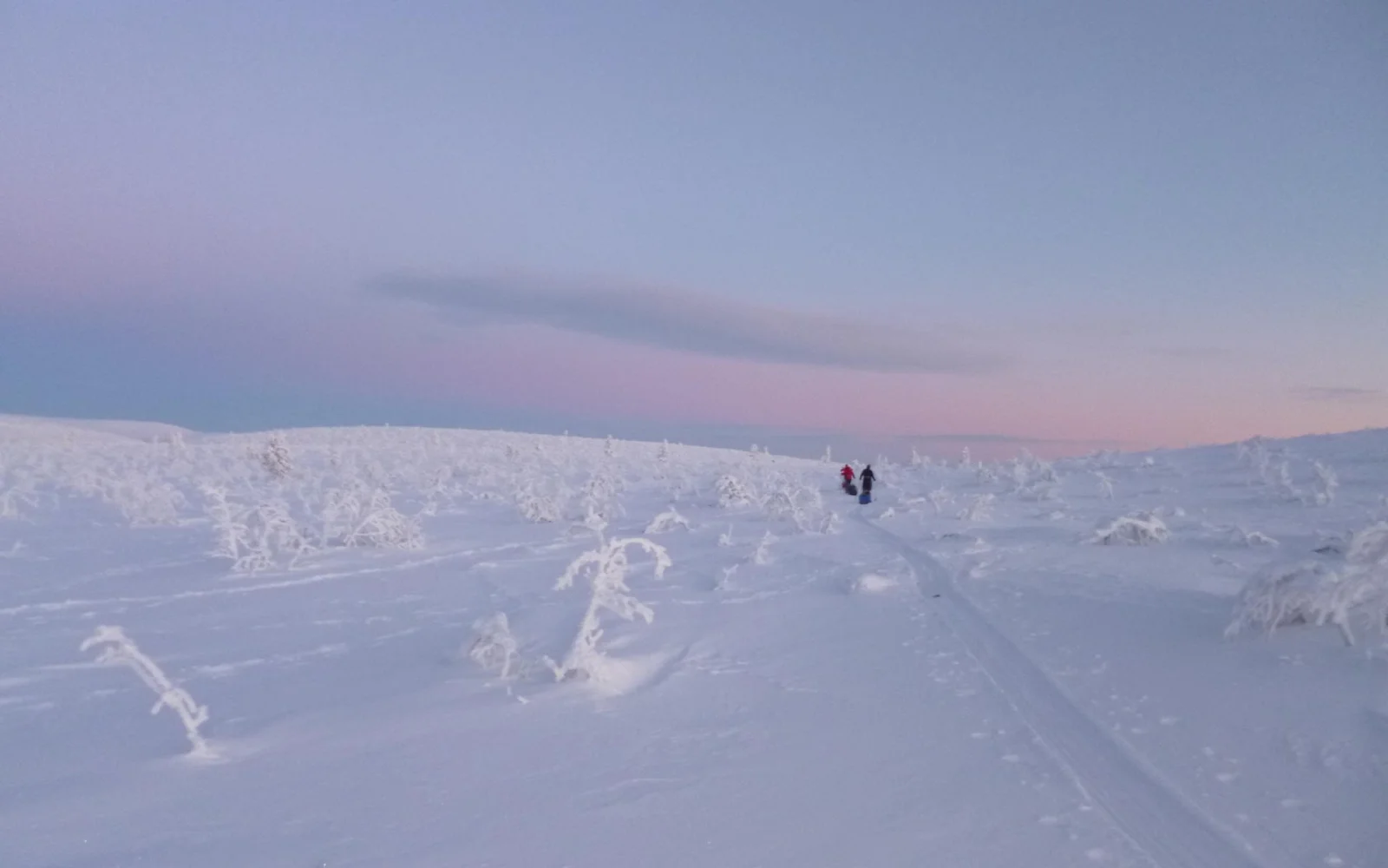 Stille und winterliche weiße Weite der Landschaft während Ihrer Pulkatour.
