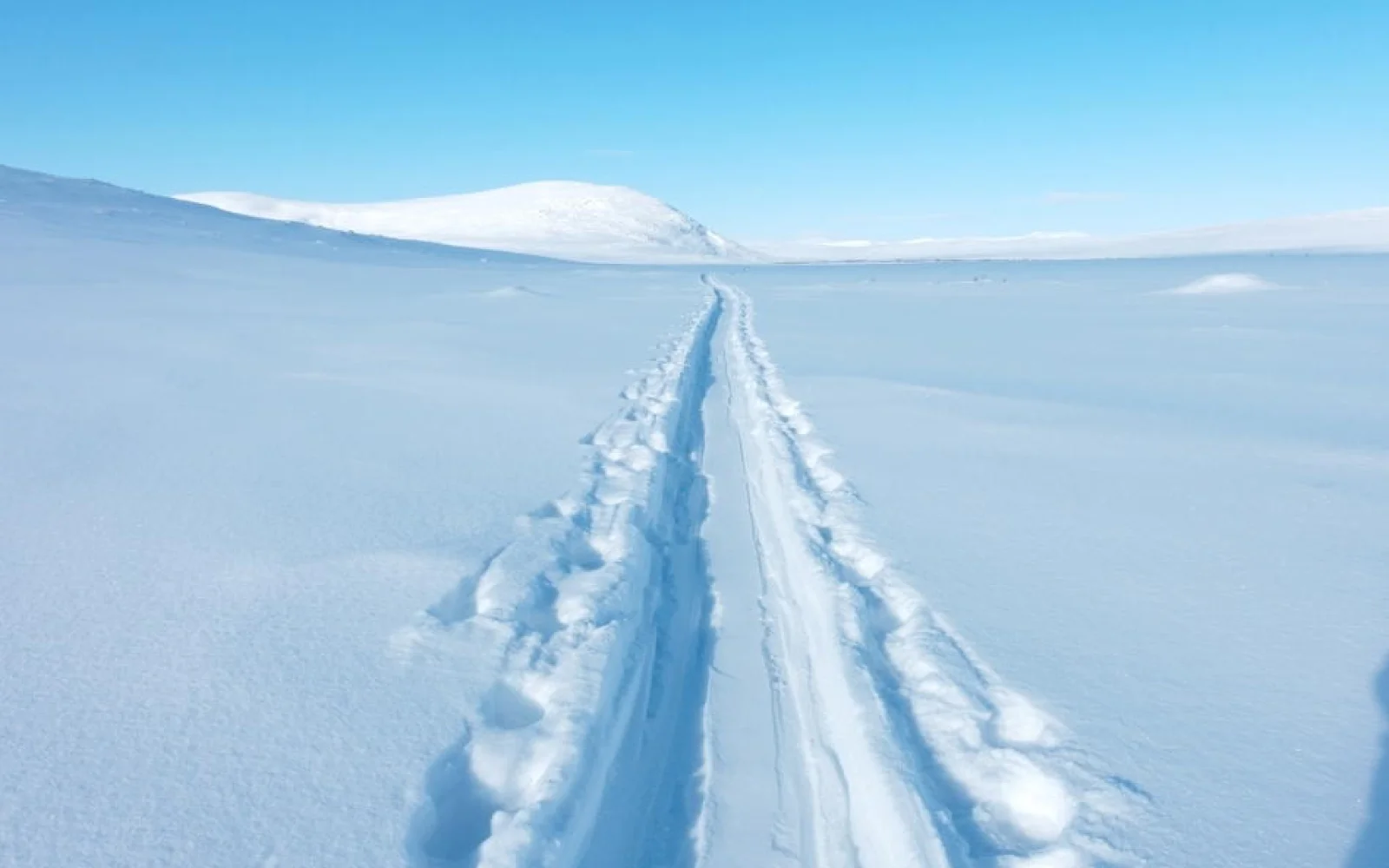 Ihre Spuren im Schnee ... viele andere Spuren werden Ihre hier oben nicht kreuzen