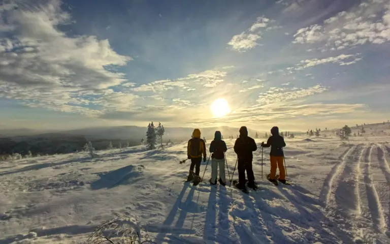 Sie unternehmen traumhafte Tagestouren wie hier auf den Morgam-Maras Fjäll