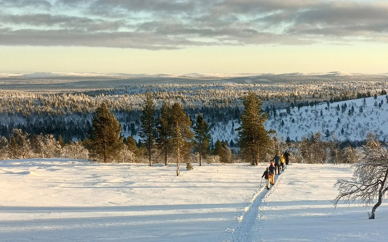 Eine weitere aussichtsreiche Tagestour führt Sie zum Joenkielinen-Fjäll