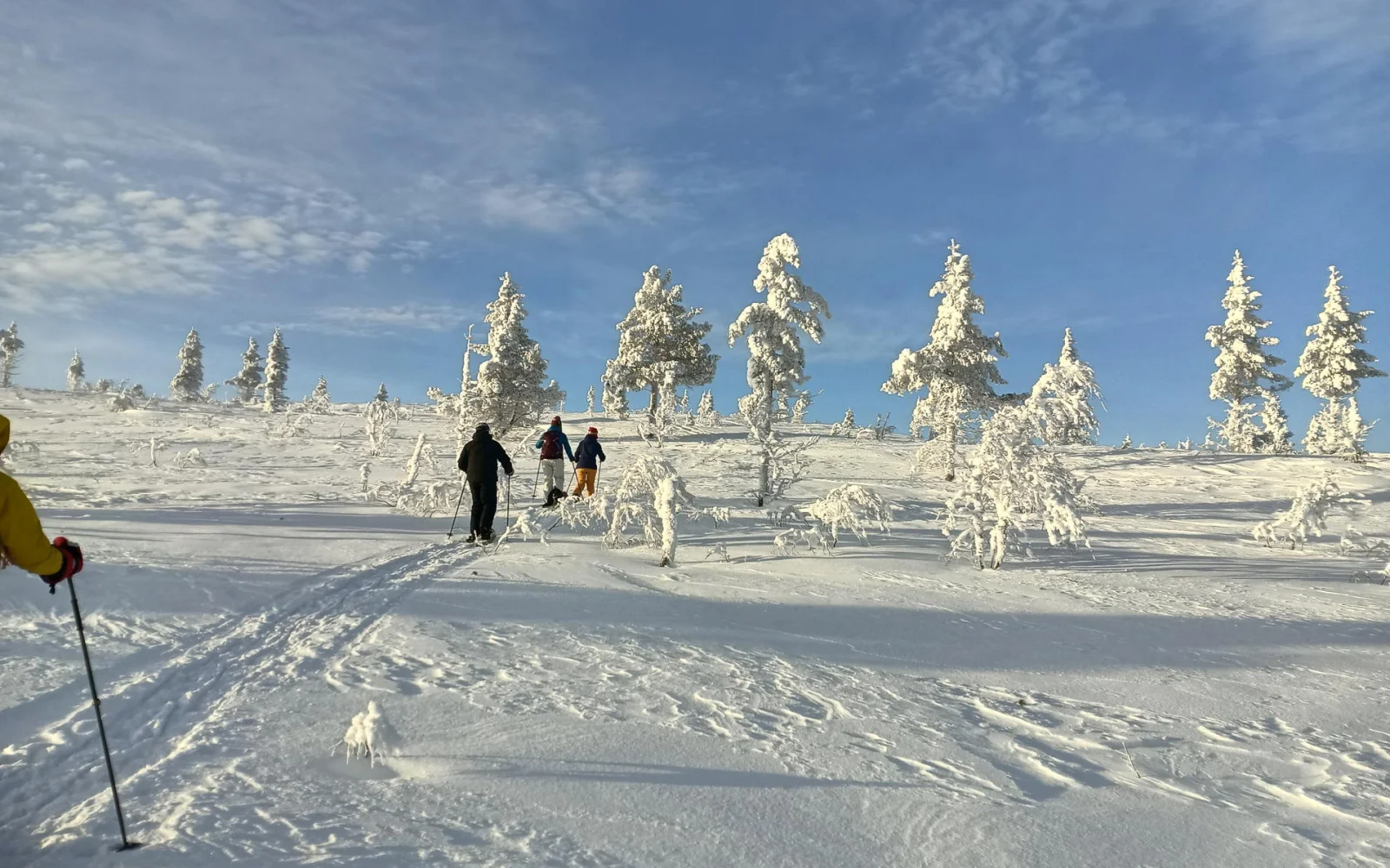 Der Aufstieg zum Morgam Maras Fjäll wird mit traumhauften Weitblicken belohnt