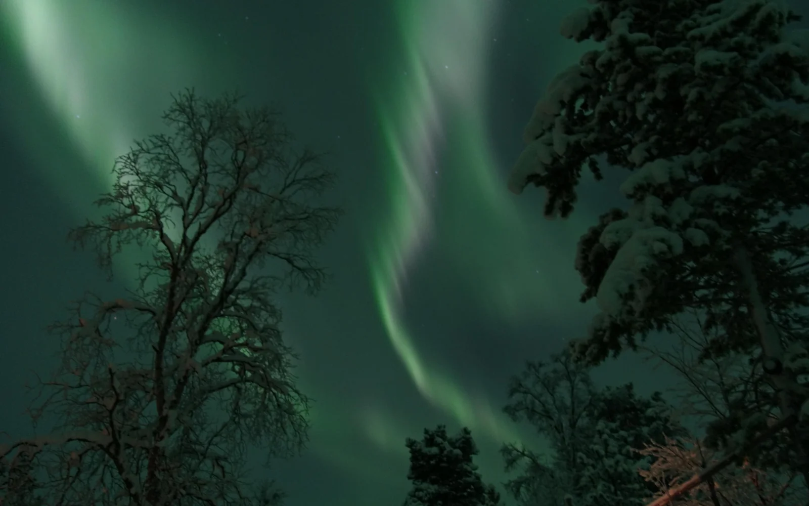 Mit etwas Glück können Sie am Abend Nordlichter bewundern - wir drücken Ihnen die Daumen!