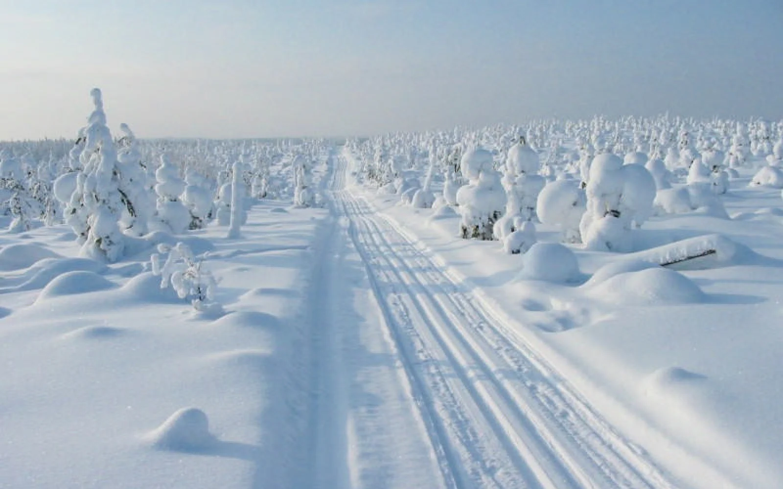 Auf gezogenen Loipen geht es durch die Winterlandschaft