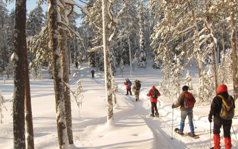 Ostfinnland: ein perfekter Ort, um die friedliche Natur zu genießen