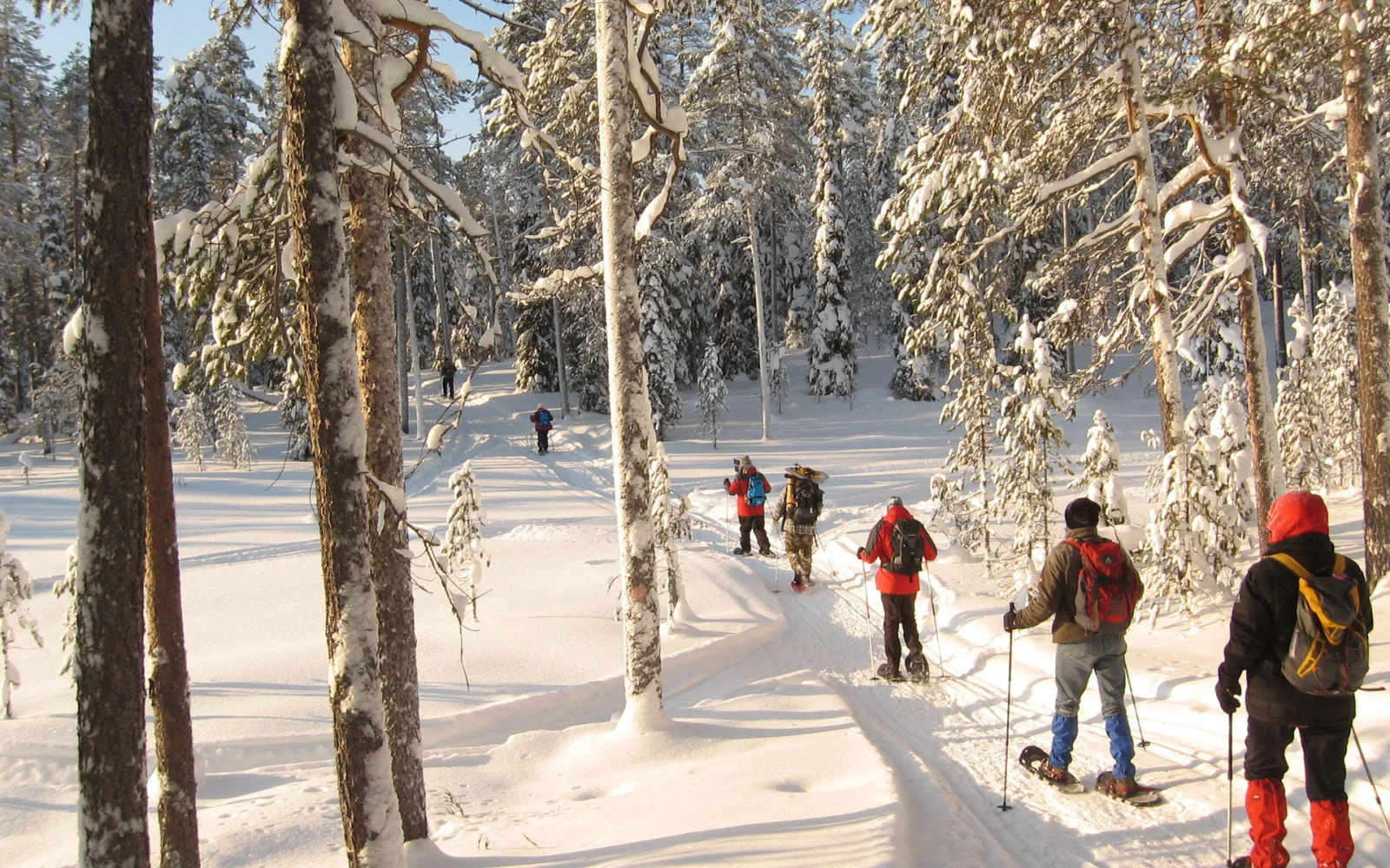Ostfinnland: ein perfekter Ort, um die friedliche Natur zu genießen