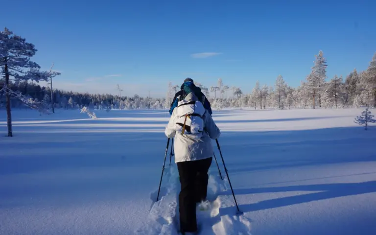 Mit Schneeschuhen folgen Sie den Spuren von Elchen, Wölfen, Luchsen & Hasen